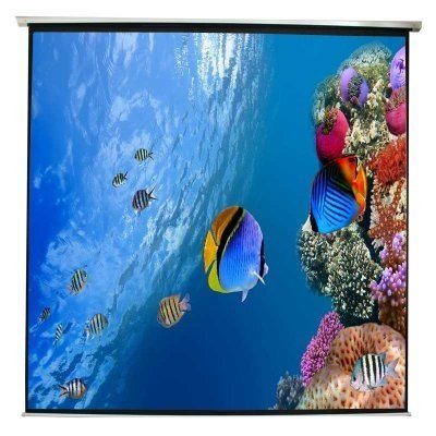 approx! Pantalla Mural 240 x 240 cm Eléctrica