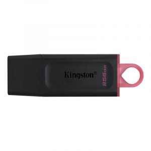 Kingston DataTraveler DTX 256GB USB 3.2 Gen1 Negro