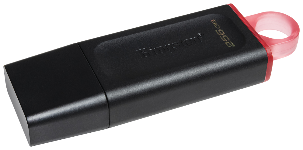 Kingston DataTraveler DTX 256GB USB 3.2 Gen1 Negro - Imagen 4