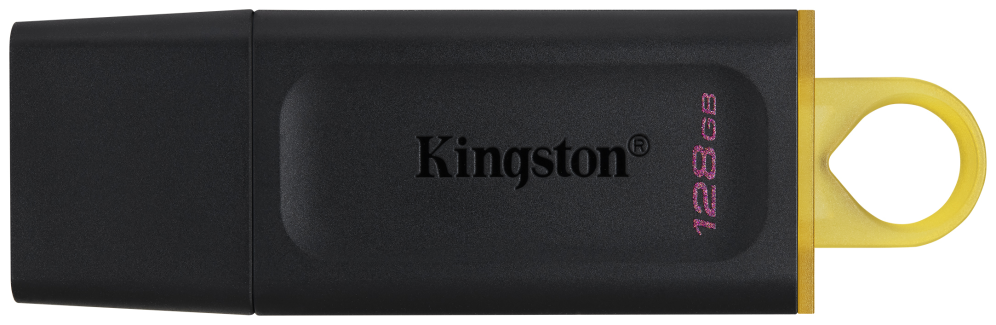Kingston DataTraveler DTX 128GB USB 3.2 Gen1 Negro