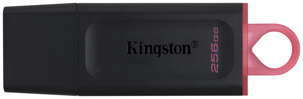Kingston DataTraveler DTX 256GB USB 3.2 Gen1 Negro